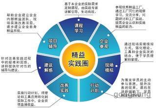 中国制造企业体系结构存在着那些结构性缺陷